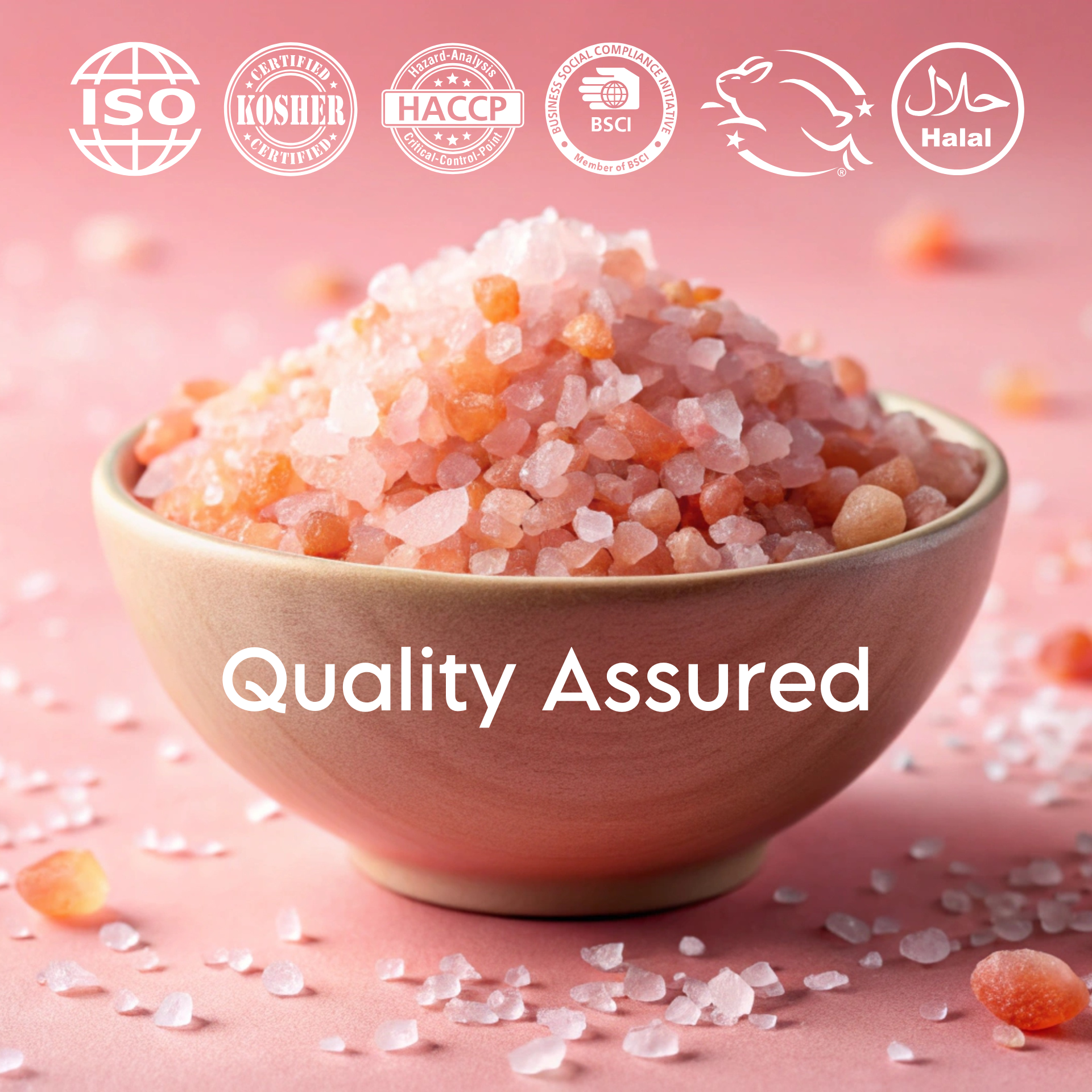 Los Angeles Salt Company - Wholesale Salt - Himalayan Salt - Coarse (2.5 lb)4