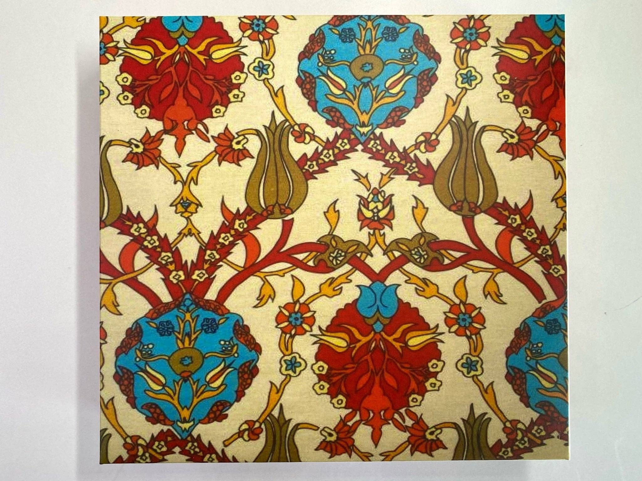 Aladdin – wholesale Torkad frukt – Malak | Torkade aprikoser (Premium)4