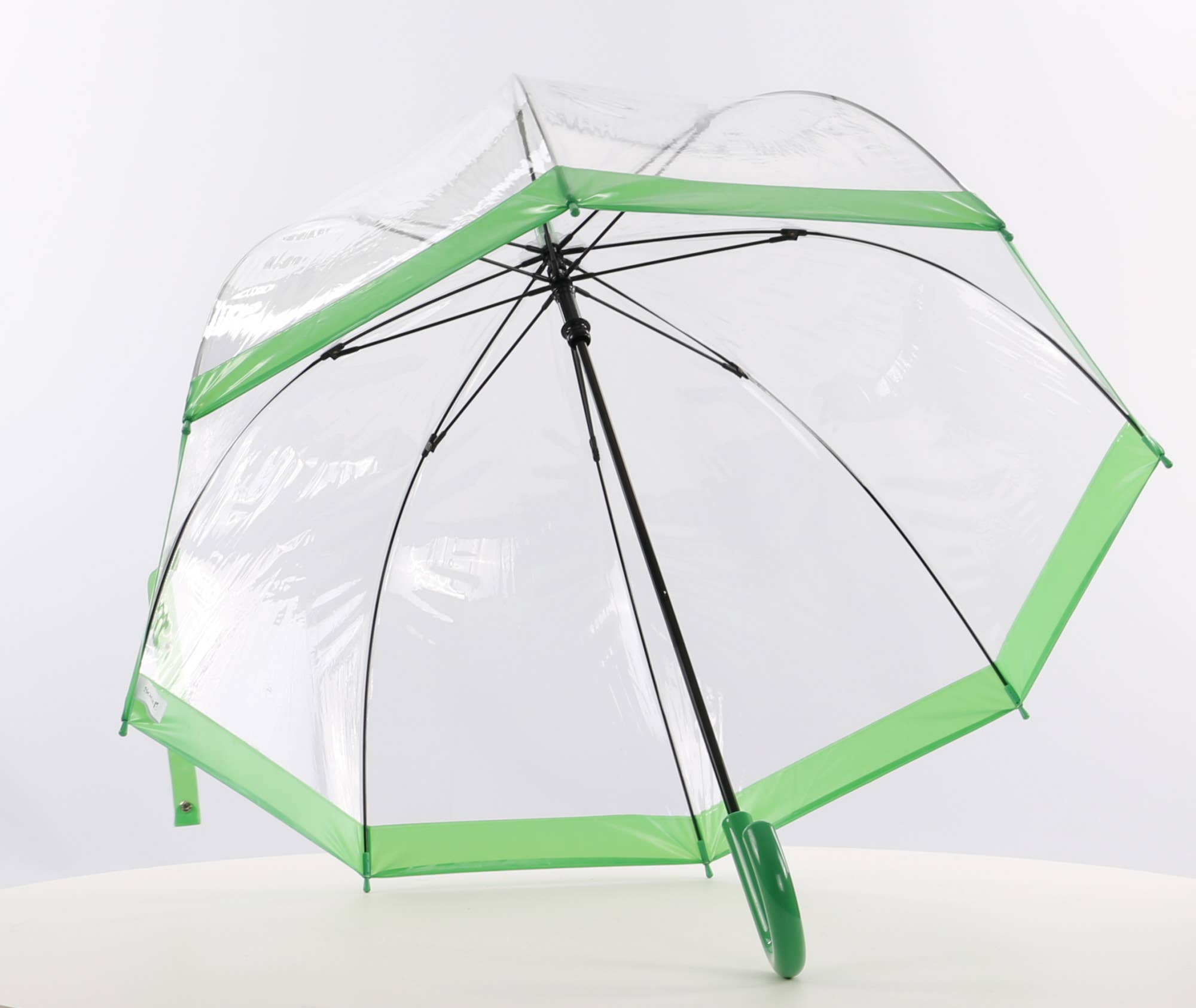 Everyday Clear Dome Vinyl Umbrella Green - EDBCG for wholesale on Faire1