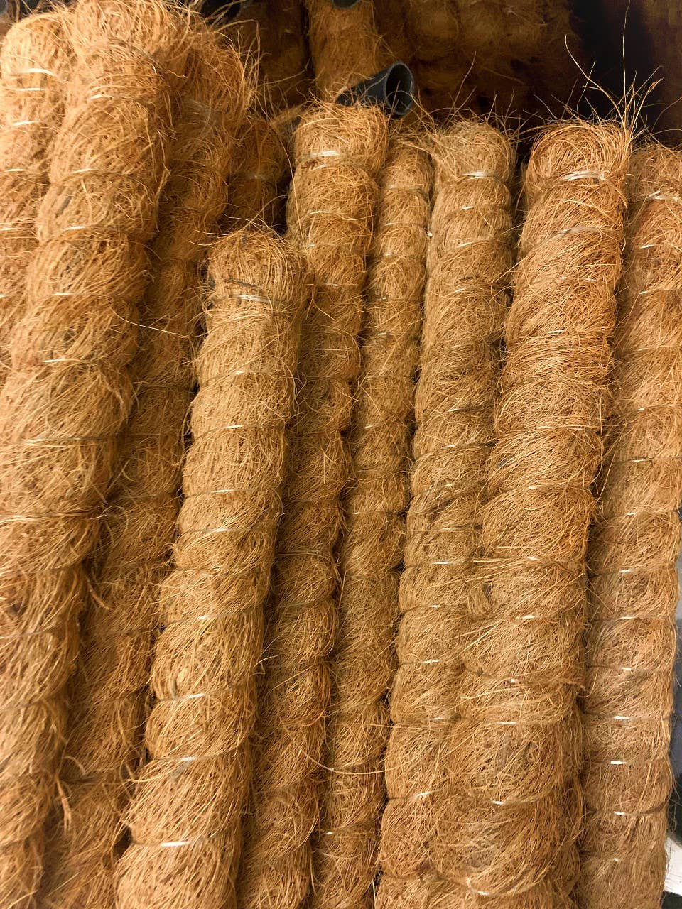 CoirProducts.co.uk of Salike Limited - Wholesale Garden tool - 50cm Coir Moss Pole | Plant Support |Growpoles Coirproducts5