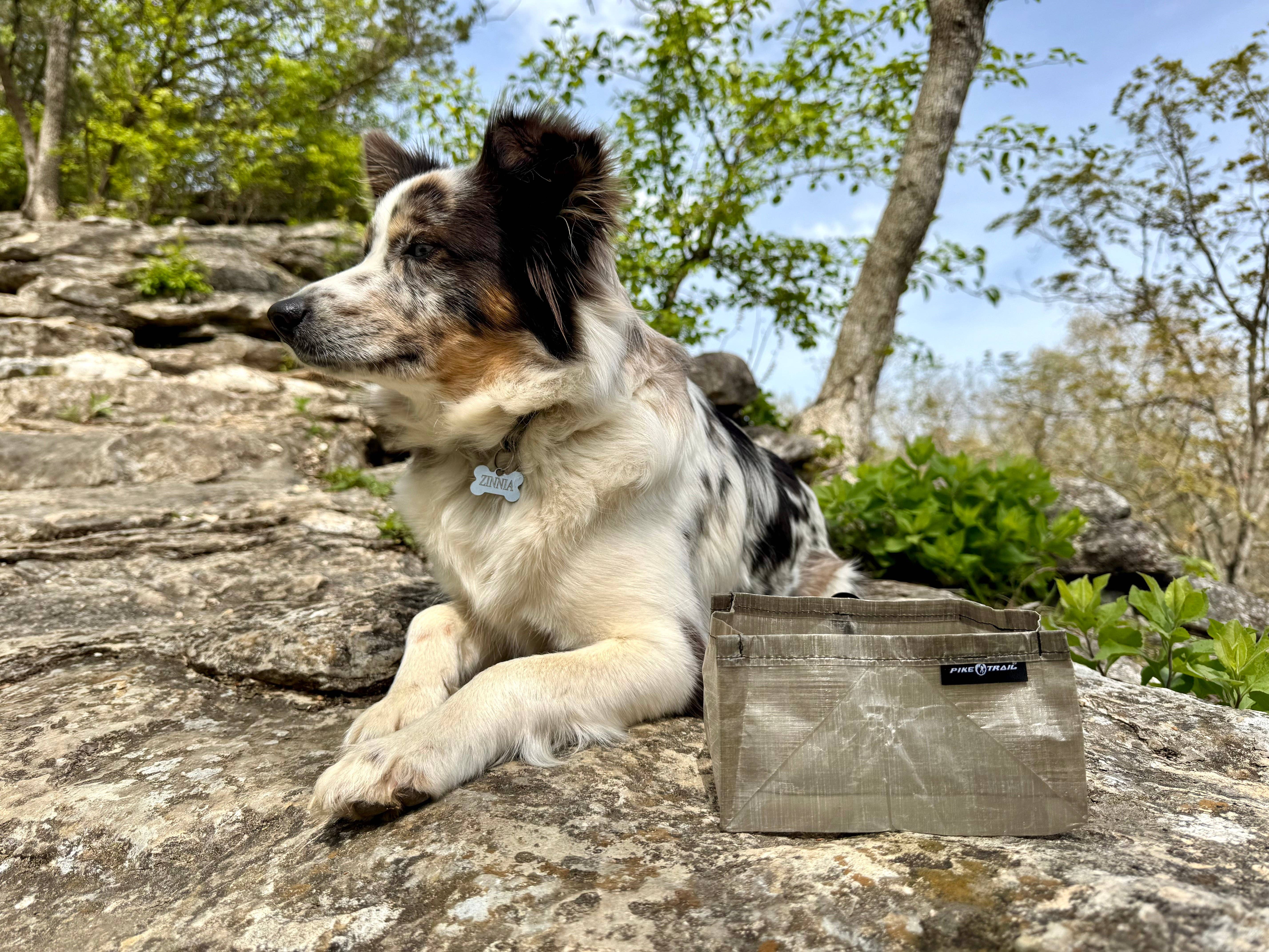 Pike Trail - Vendita all'ingrosso Ciotola - Cani e gatti - Ciotola per Cani Pike Trail Dyneema6