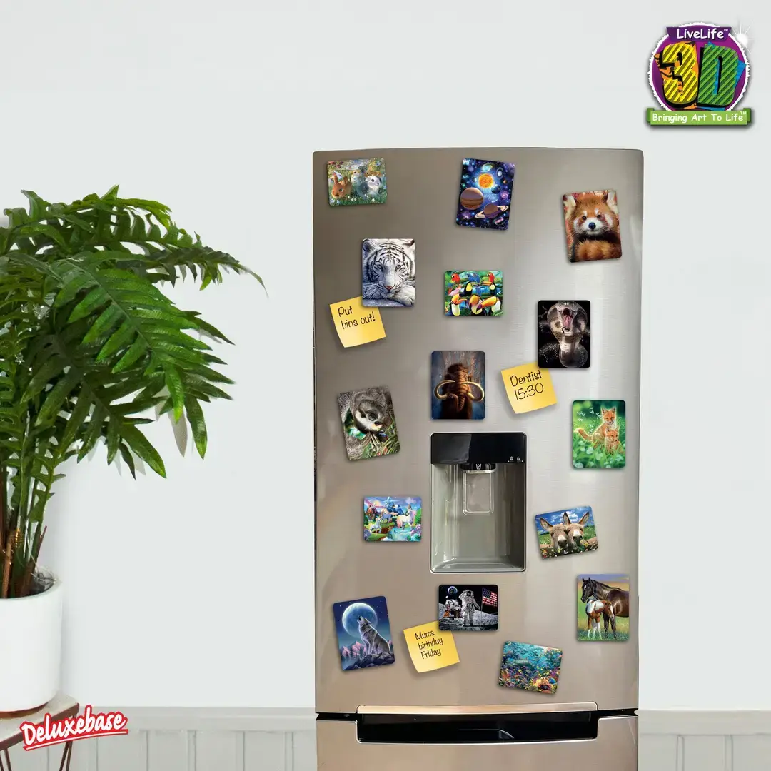 Deluxebase - Wholesale Magnet - 3D LiveLife Magnets - You Are Here2