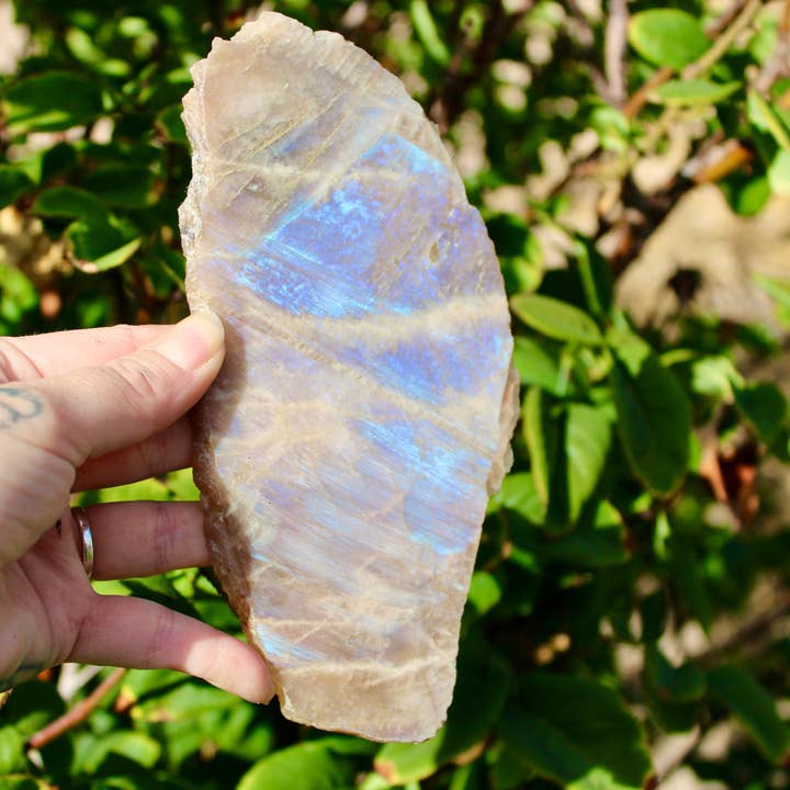 Moonstone Slab – High Flash Polished Crystal Slice You Pick Size for wholesale by EC Plugs and Gems