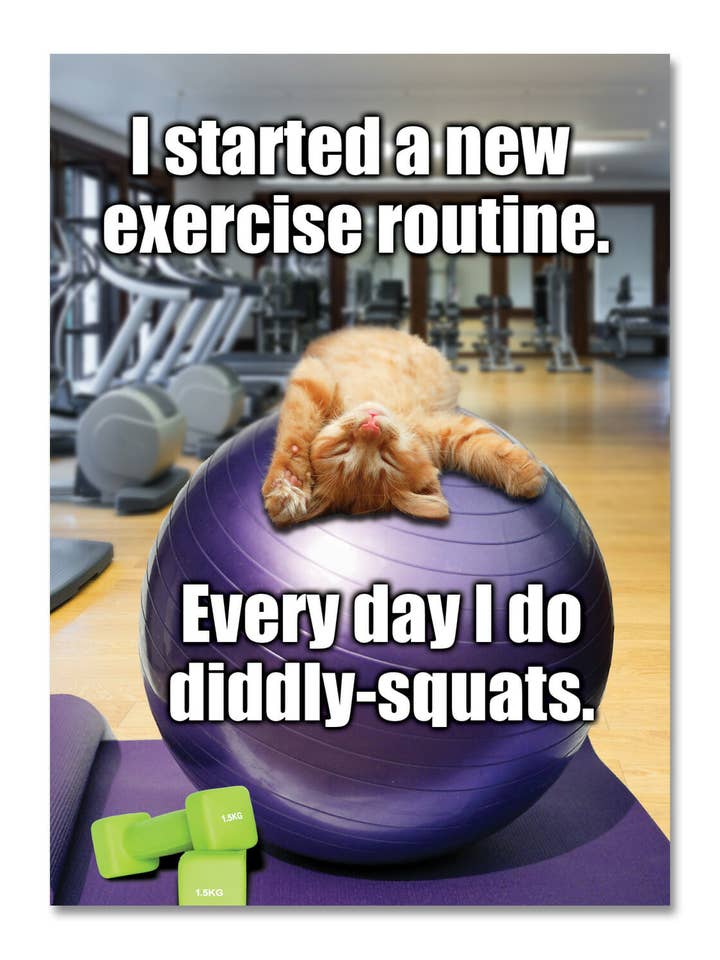 Diddly Squats for wholesale by spirit publishing pty ltd