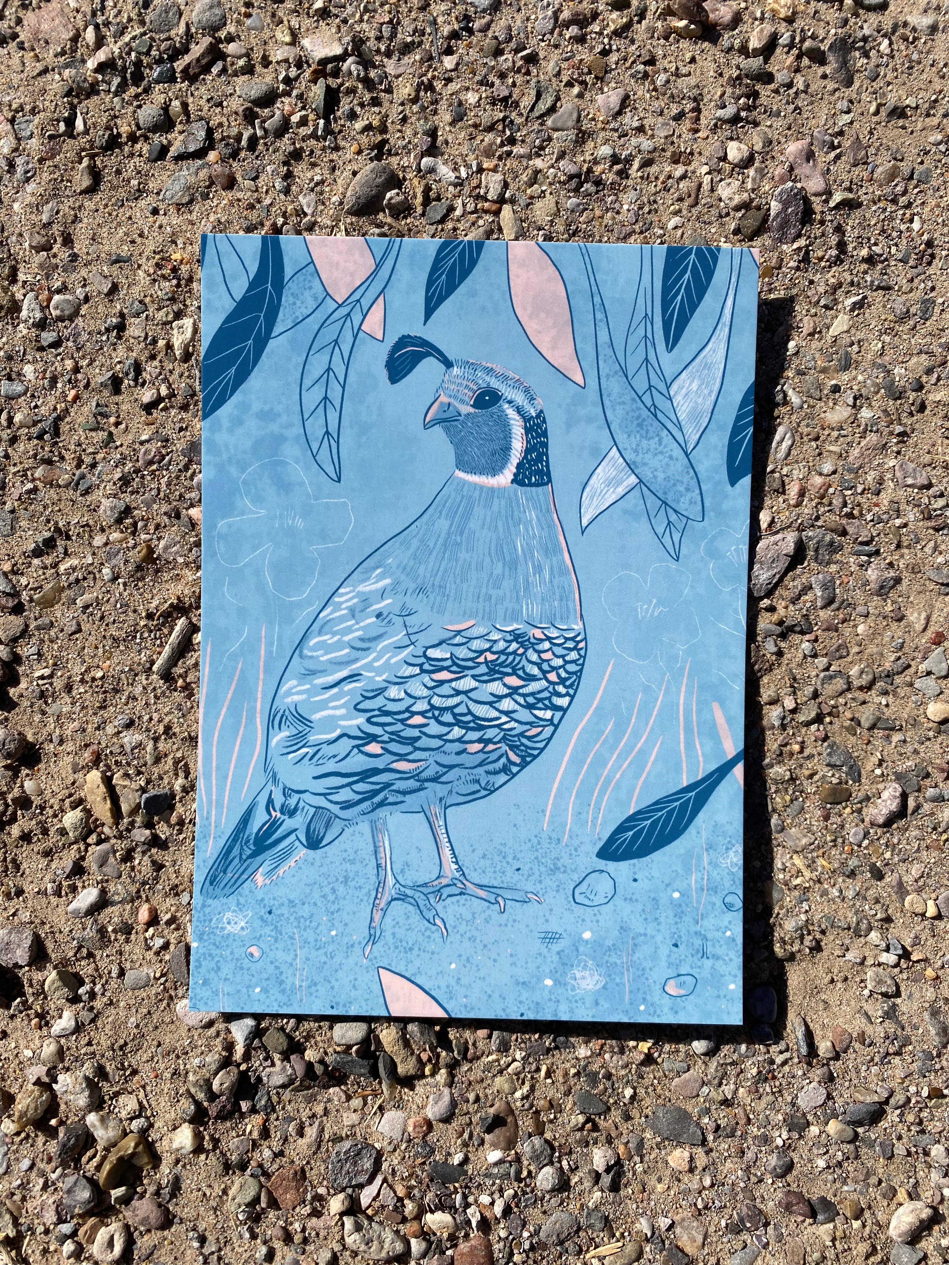 June Jewell Designs - Wholesale Art Print - 5”x7” Quail on Blue Art Print5