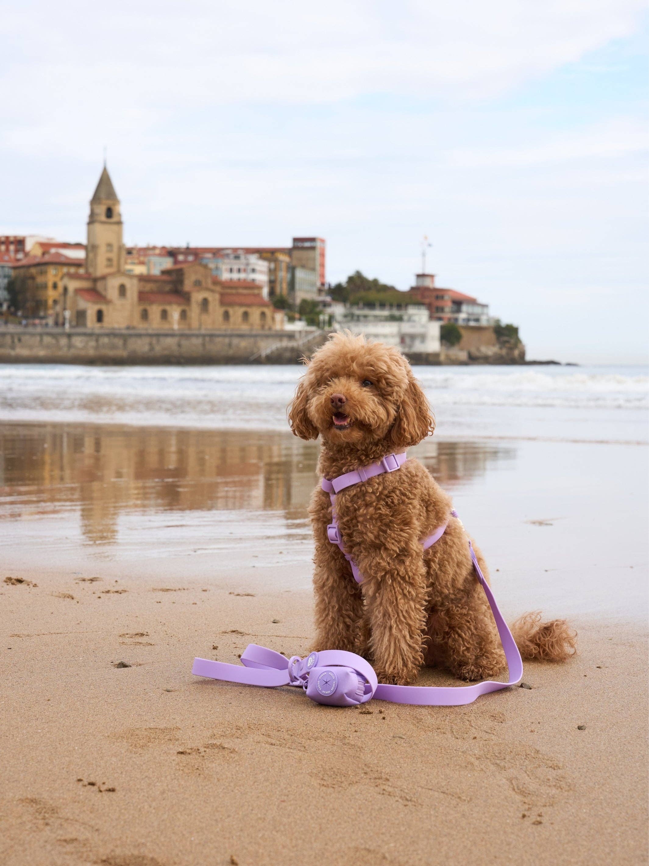 Dukier - Vente Harnais – chien - ARNES IMPERMÉABLE POUR CHIEN VIOLET1