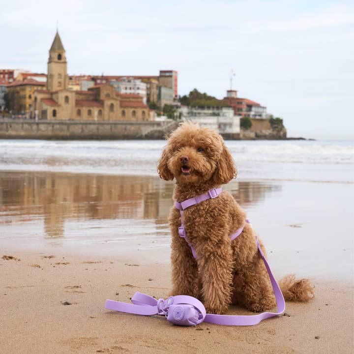 Dukier - Wholesale Pet Harness - Dog - PURPLE WATERPROOF DOG HARNESS1