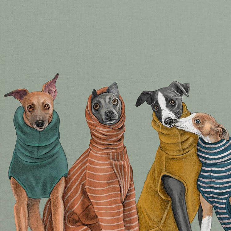 Beth Goodwin Designs - Wholesale Art Print - Whippet Print | Greyhound Wall Art | Rescue Dog Illustration1