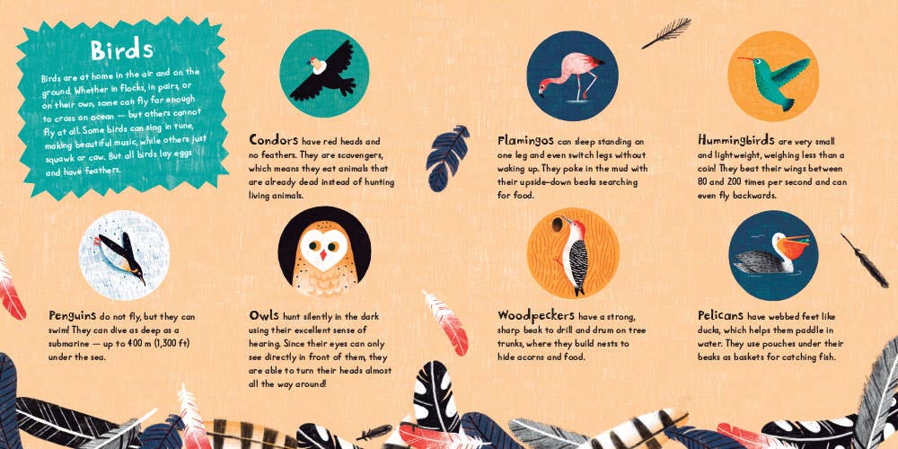 Barefoot Books - Wholesale Baby & Toddler Book (0-2) - Tweet!4