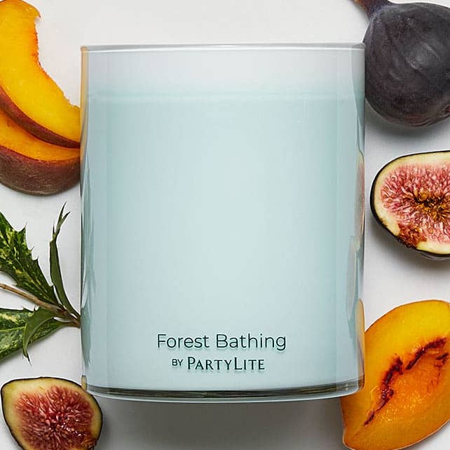 Wellbeing Sweet Forest Fig 2-Wick Jar Candle for wholesale by Glow Collection