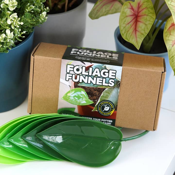 Foliage Funnels | Plant Care Accessories | Homeware Gifts for wholesale by Bubblegum Stuff US