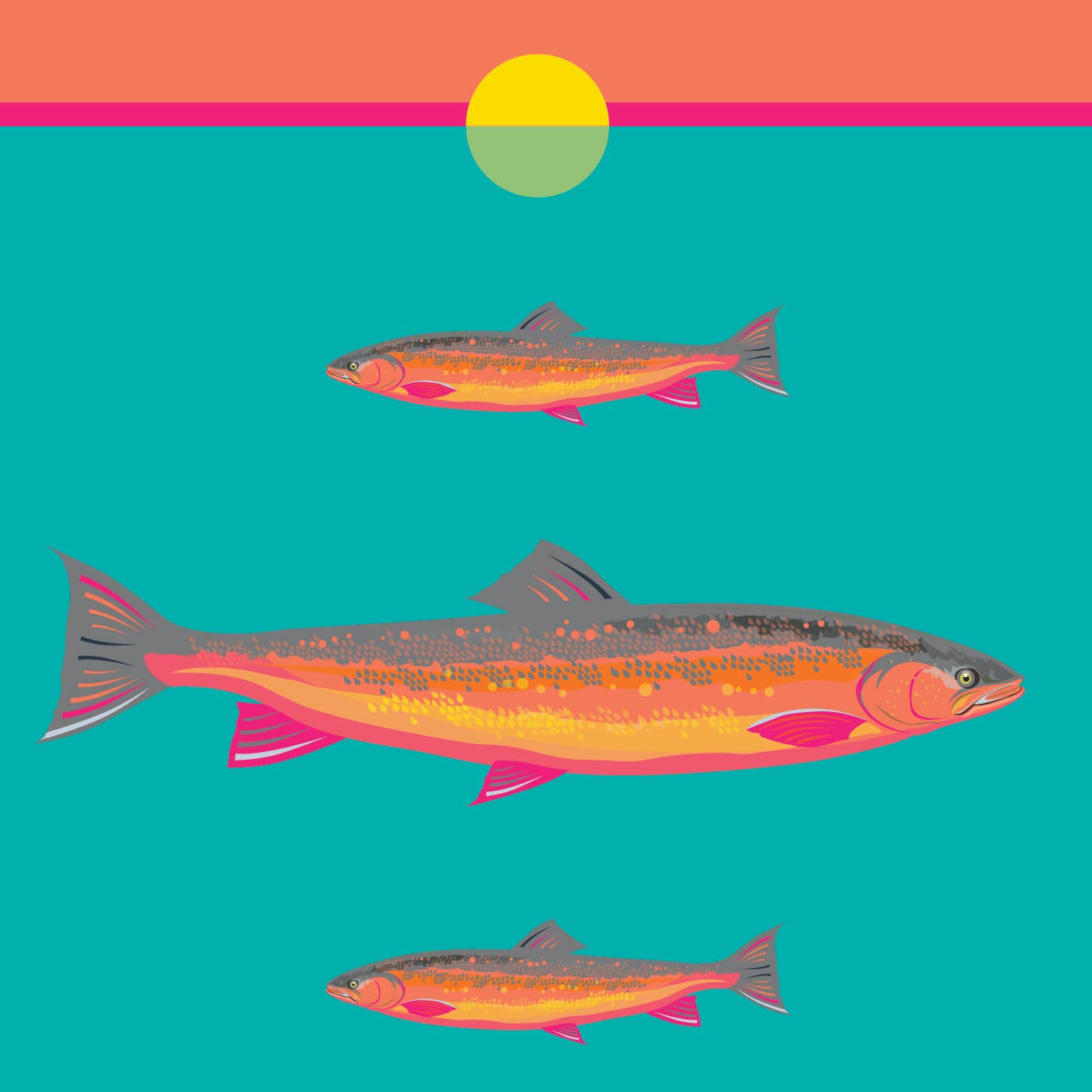 Pawpear - Vente Affiche d'art - Impression omble chevalier2