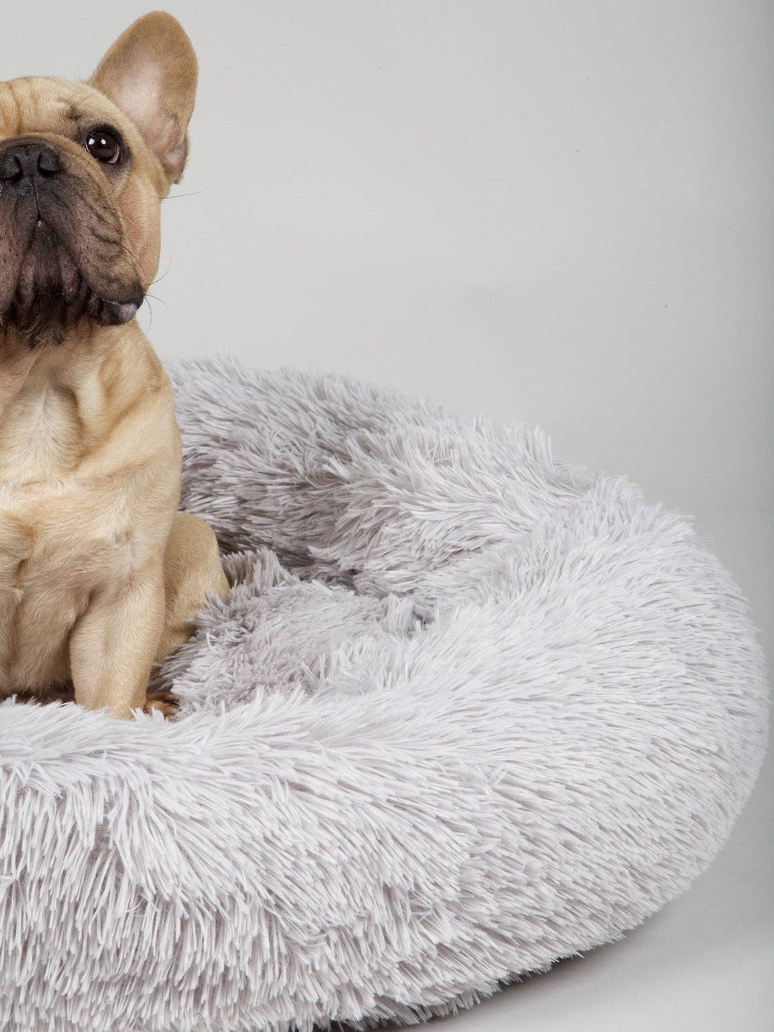 Int. Pets - Wholesale Pet Bed - Dog - THE ORIGINAL - Donut Dog Bed (grey)1