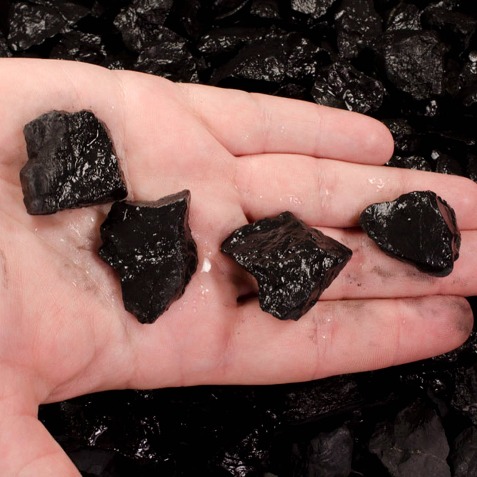 Fantasia Mining - Wholesale Spiritual Stone/Crystal - Rough Shungite - Russia - .5-2" Raw Natural Stones (1 lb)1