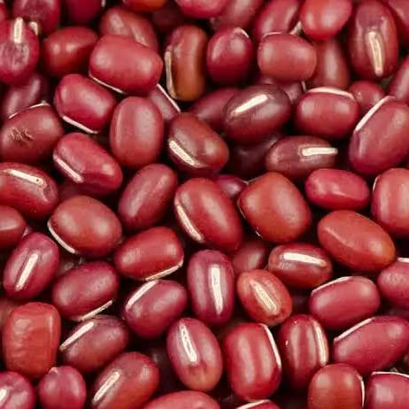 Adzukibohnen für den Großhandel von Premium Nut & Dried Fruit Co.