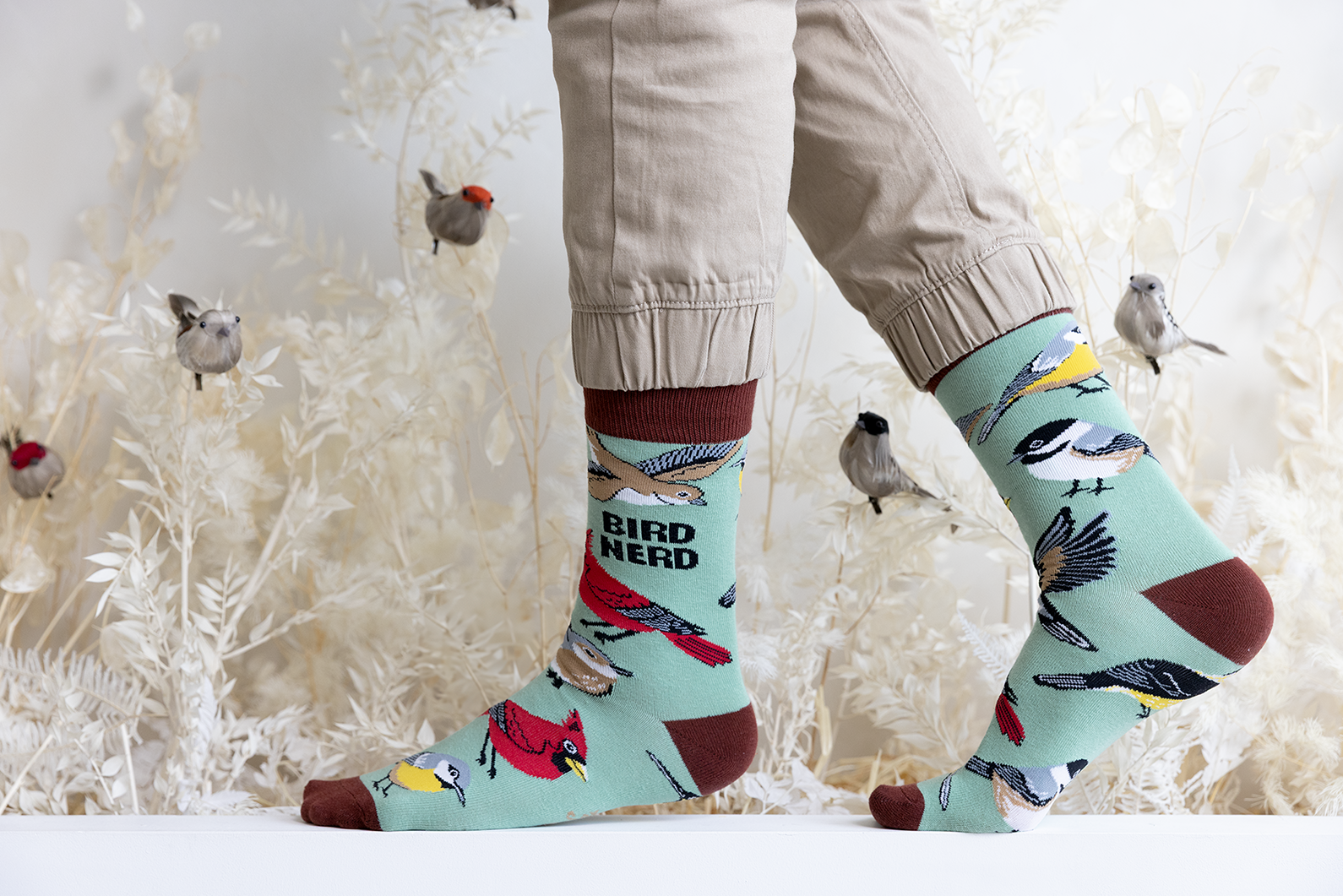 Uptown Sox - Wholesale Socks - Men's - Bird Nerd Socks - M/L (Men)2