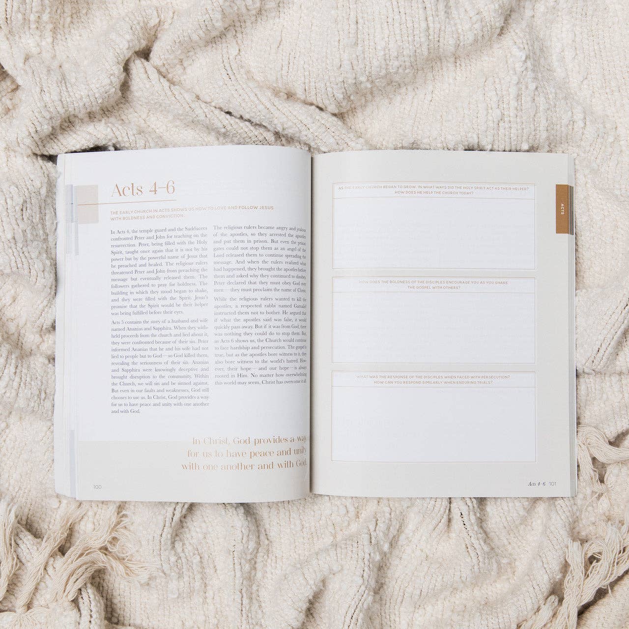 The Daily Grace Co - Wholesale Religion - Eden to Eternity | The Chronological Story of Scripture | Volume 43