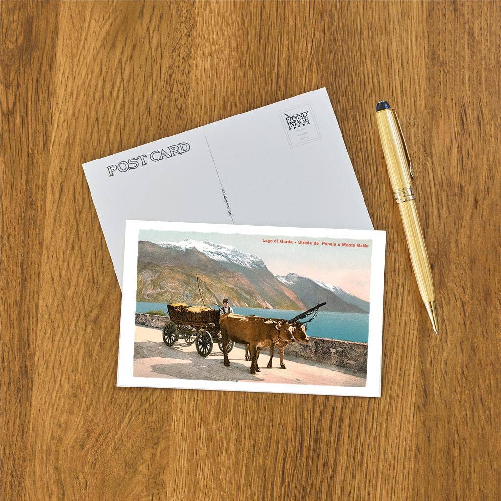 Found Image Press – wholesale Postcard – Postcard IT-189 Ox Cart on Lago di Garda, Italy1
