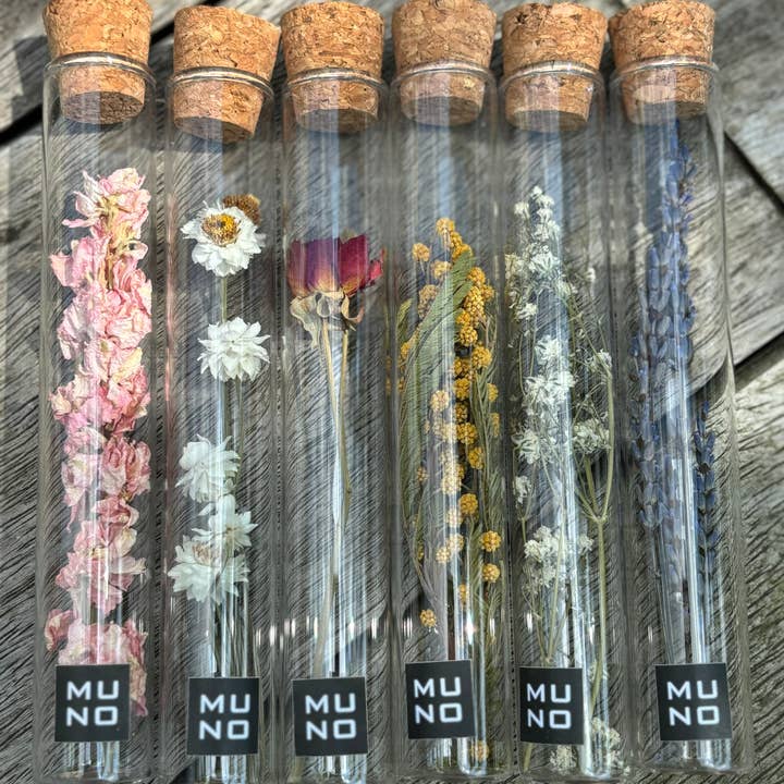 Muno - Wholesale Dried/Pressed Flowers - TUBE 15 CM WITH DRIED FLOWER - Gift
