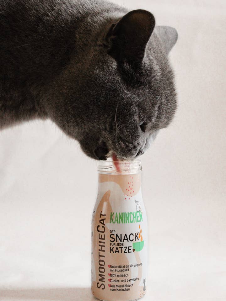 Snack naturale per gatti SmoothieCat con coniglio, senza zucchero per la vendita all'ingrosso da parte di SmoothieDog