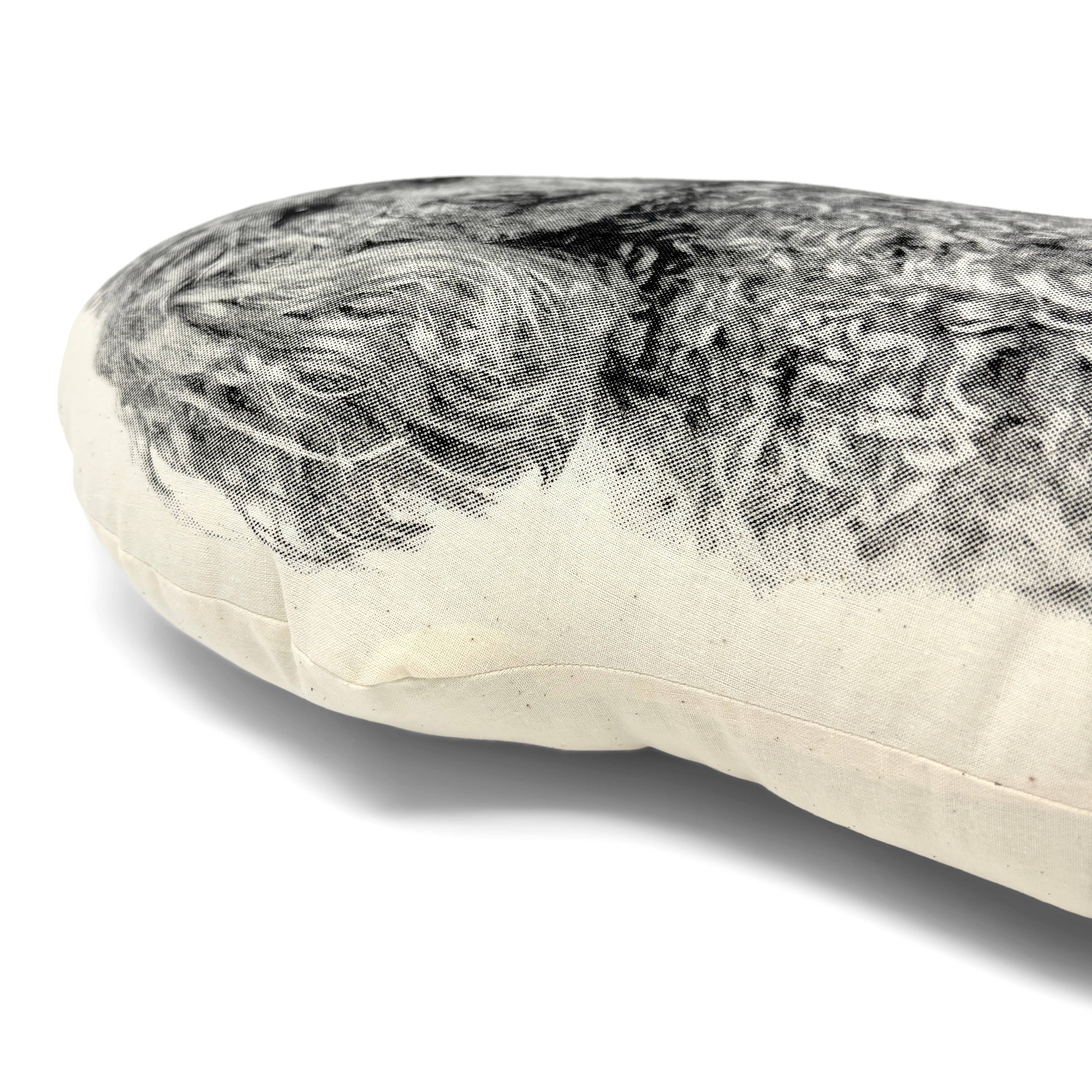 Broderpress - Wholesale Throw/Decorative Pillow - Poodle Pillow1