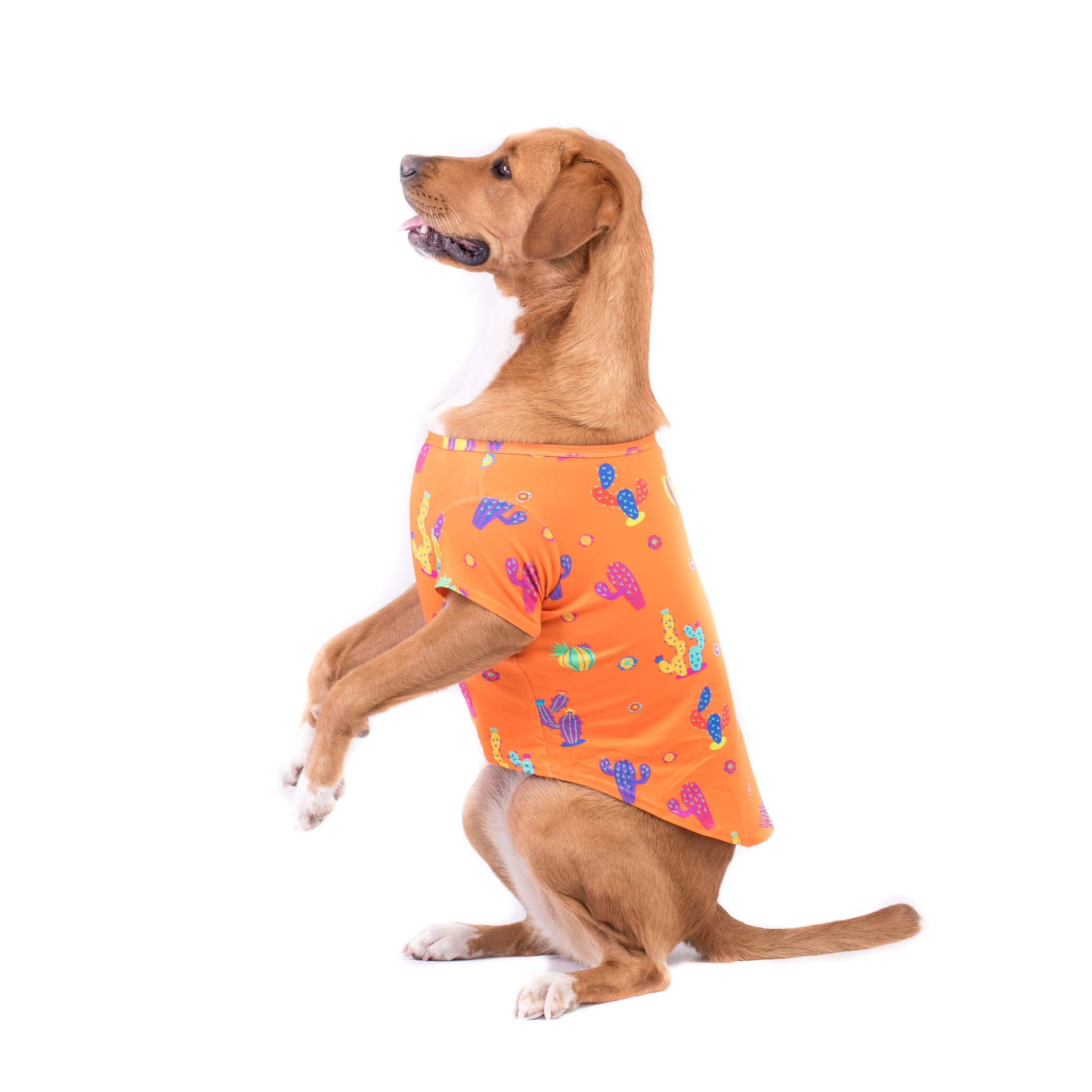 Vibrant Hound - Vente Chemise – chien - Chemise pour chien Lil Prick4