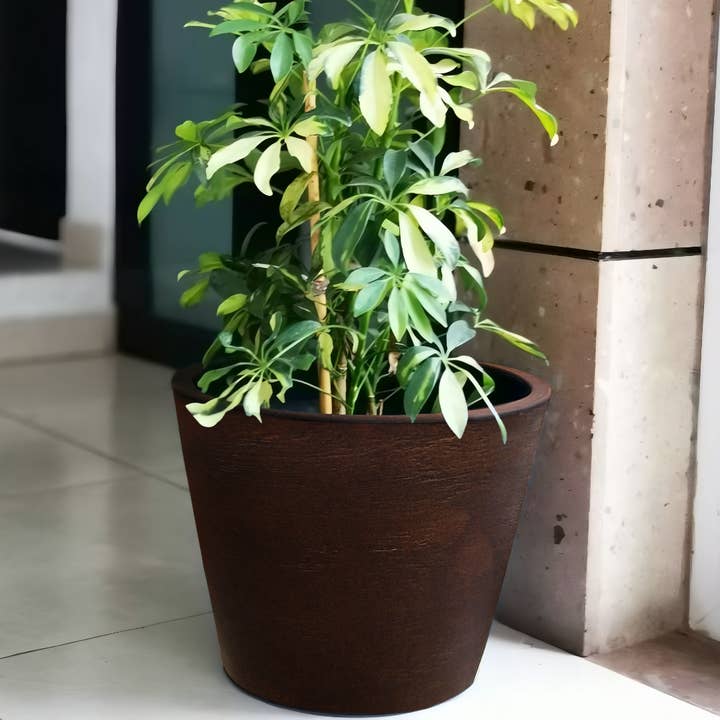 Ecobo – Vaso de plantas por atacado – Plantador de Vasos Cozumel7