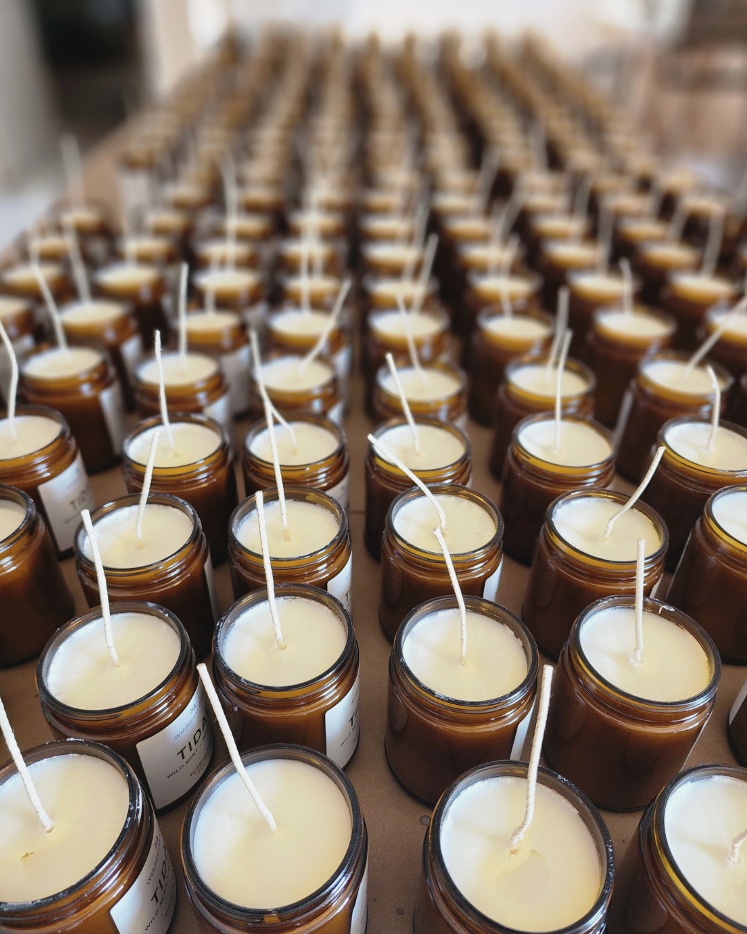 Wildwood Creek - Wholesale Jar/Filled Candle - Golden Hour Natural Botanical Candle | Limited Edition1