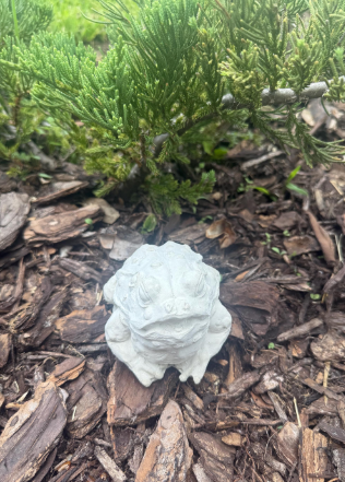 Backyard Stone Art – Ornamento/decoração ao ar livre por atacado – Estátua de Jardim de Sapo de Betão, Jardim do Sapo de Pedra,8