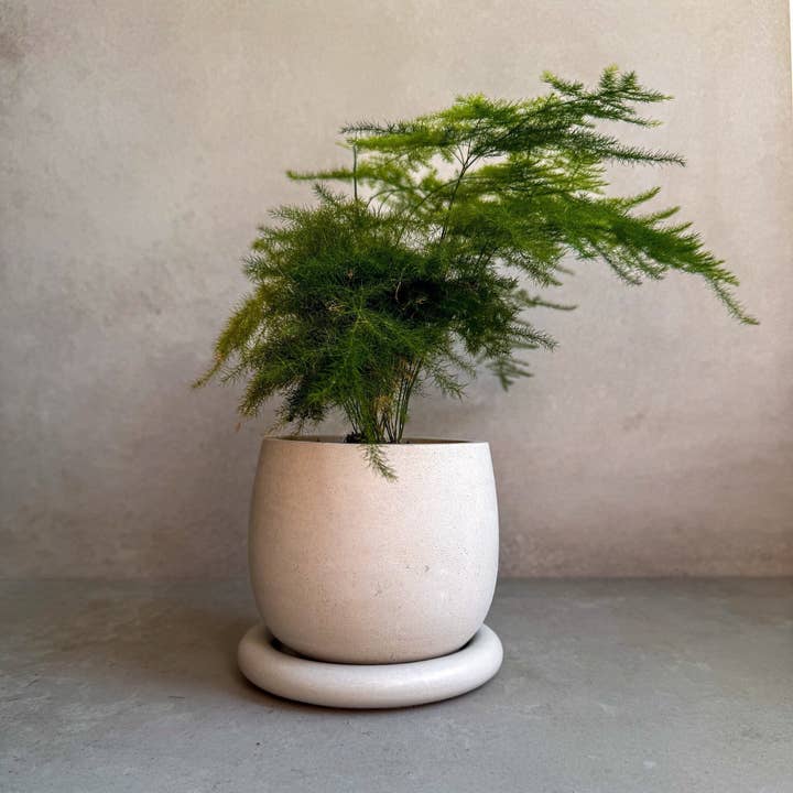 Minimal Loot Design – wholesale Kruka – Betongkruka med dränering, söt växtkruka, bubbelplanterare, dekorativ cementkruka, minimalistisk kruka med fat, nordisk, tjock kruka