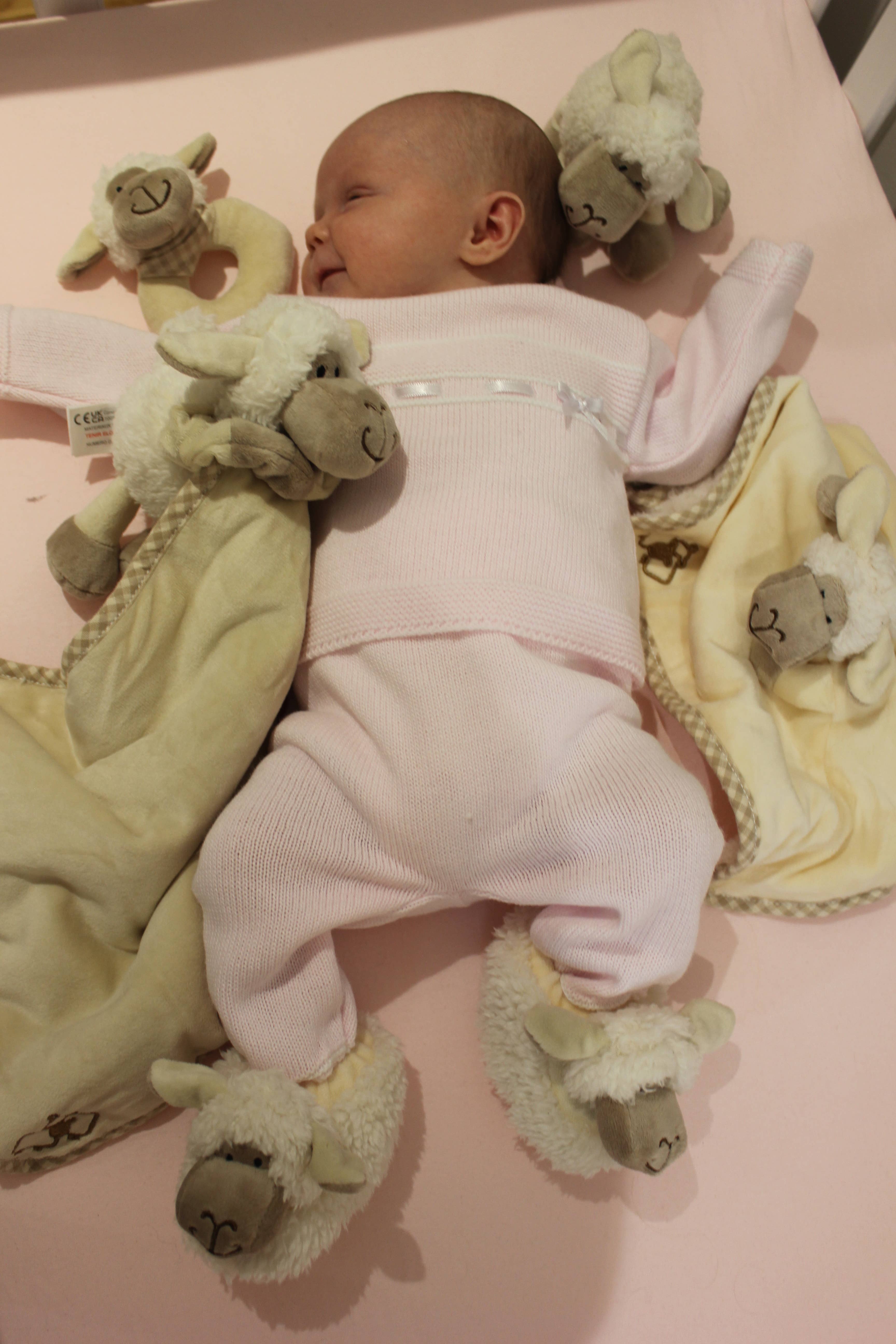 Jomanda Soft Toys & Accessories - Wholesale Stuffed/Plush Toy - Kids & Baby - Sheep Plush Soft Toy Baby Rattle - 10cm6