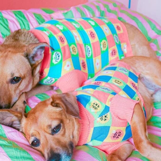 Candy Courn Dog Sweater for wholesale by Sunbean