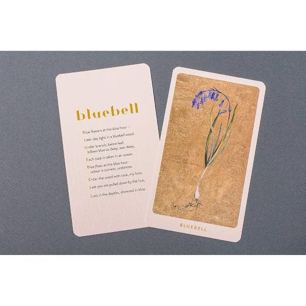 SCB - Venta al por mayor Juegos de cartas - Juego de cartas The Lost Words5