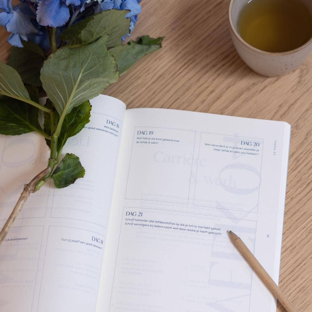 Rock Your World - Wholesale Journal/Diary - GROW: the 100 Days Journal.2