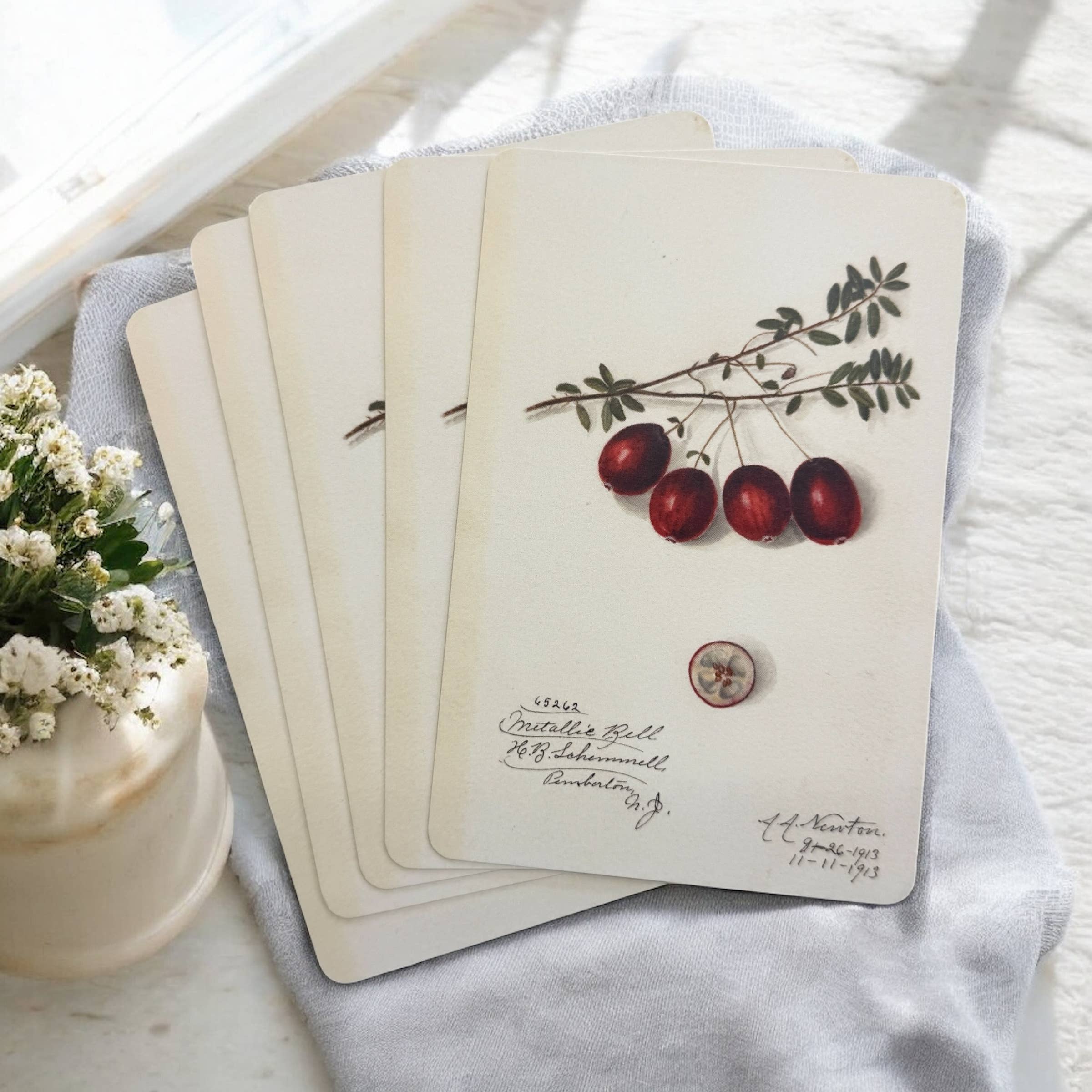 Firefly Notes - Wholesale Stationery/Notecard Set - Vintage Botanical Project Goal Cards0