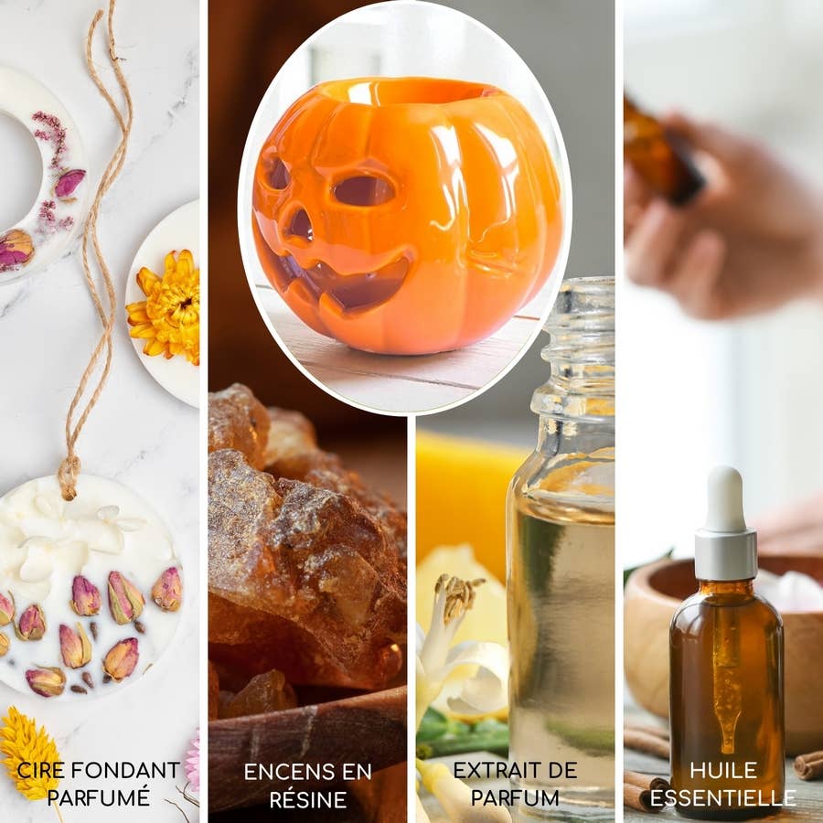 Zen'Arôme - Wholesale Oil Warmer - Ceramic Pumpkin Incense Burner – oils, wax & fragrance9