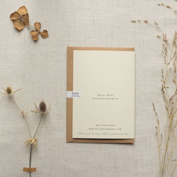 Alicia Breakspear - Wholesale Everyday Greeting Card - Sweet Peas Flower Greeting Card A6 Recycled Card 6