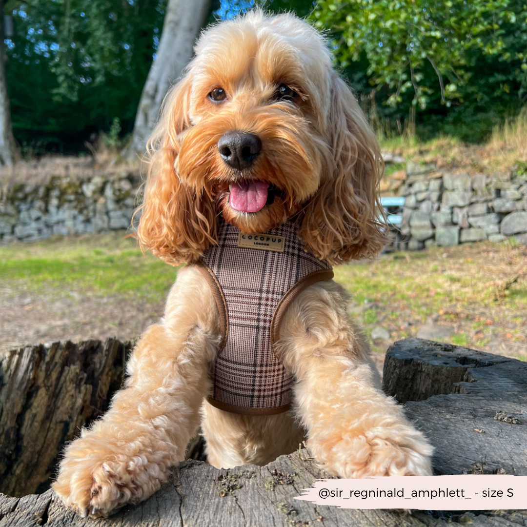 Cocopup London - Wholesale Pet Harness - Dog - Pup Plaid Adjustable Neck Harness14