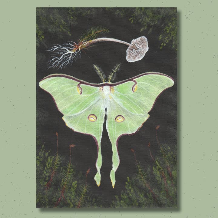 Up Moss Creek Studio - Wholesale Postcard - Luna Moth Postcard 1