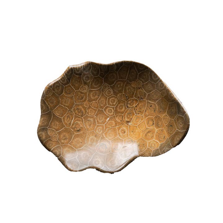 Blue Ocean Traders - Wholesale Decorative Plate/Dish/Bowl - Coral Fossil Bowl