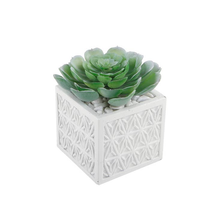 Flora Bunda Inc - Wholesale Artificial plant - Artificial Succulent in Pattern Ceramic Pot1