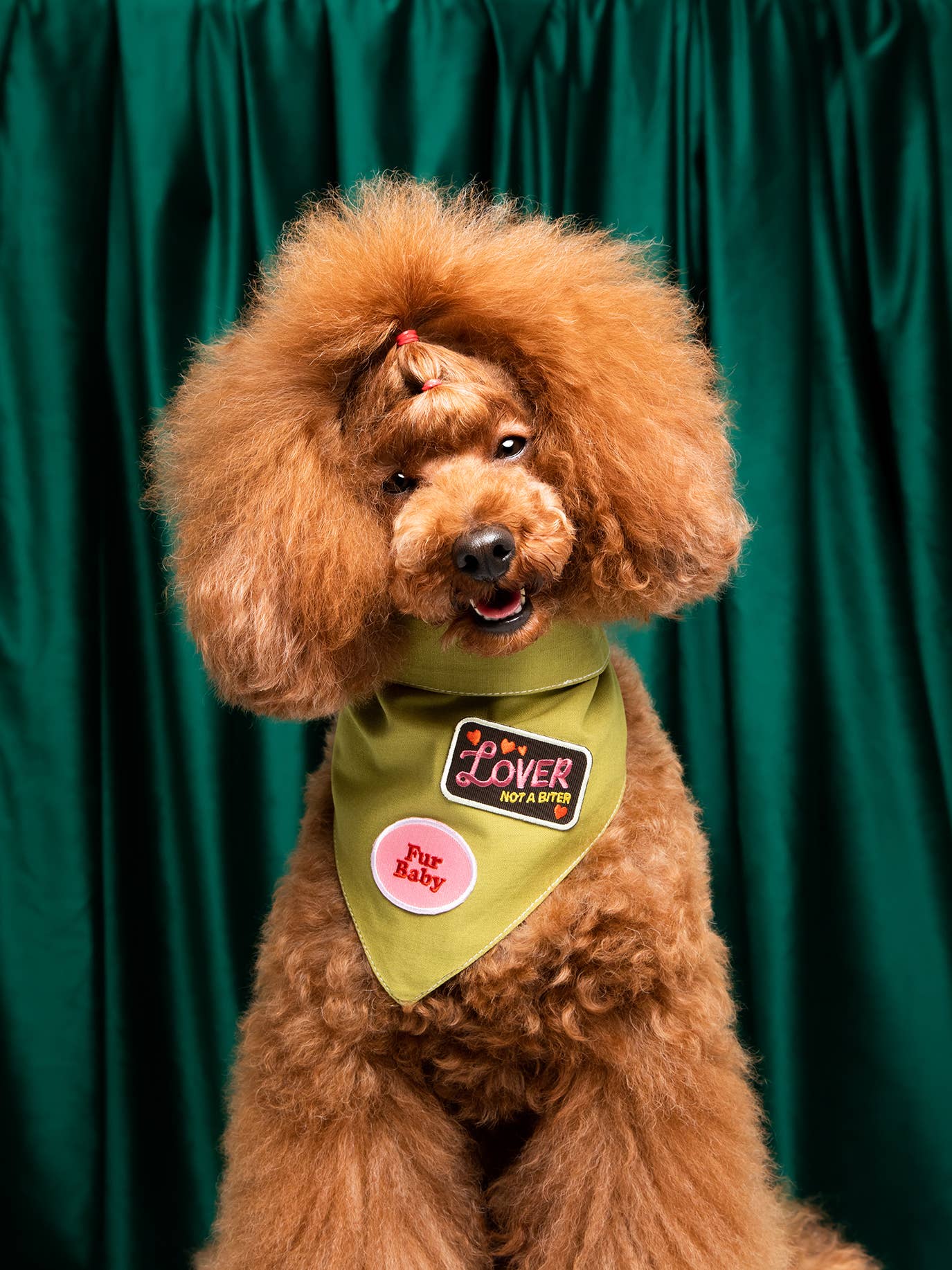 Scout's Honour Pty Ltd - Wholesale Pet Bandana - Dog - Dog Patch Bar | Loose Iron-On Patches (Pack of 54)2