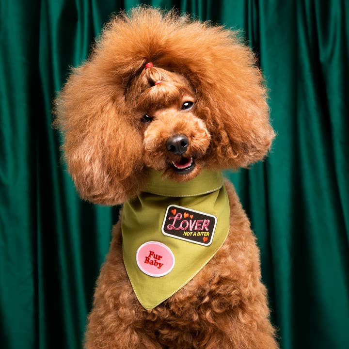 Scout's Honour Pty Ltd - Wholesale Pet Bandana - Dog - Dog Patch Bar | Loose Iron-On Patches (Pack of 54)2