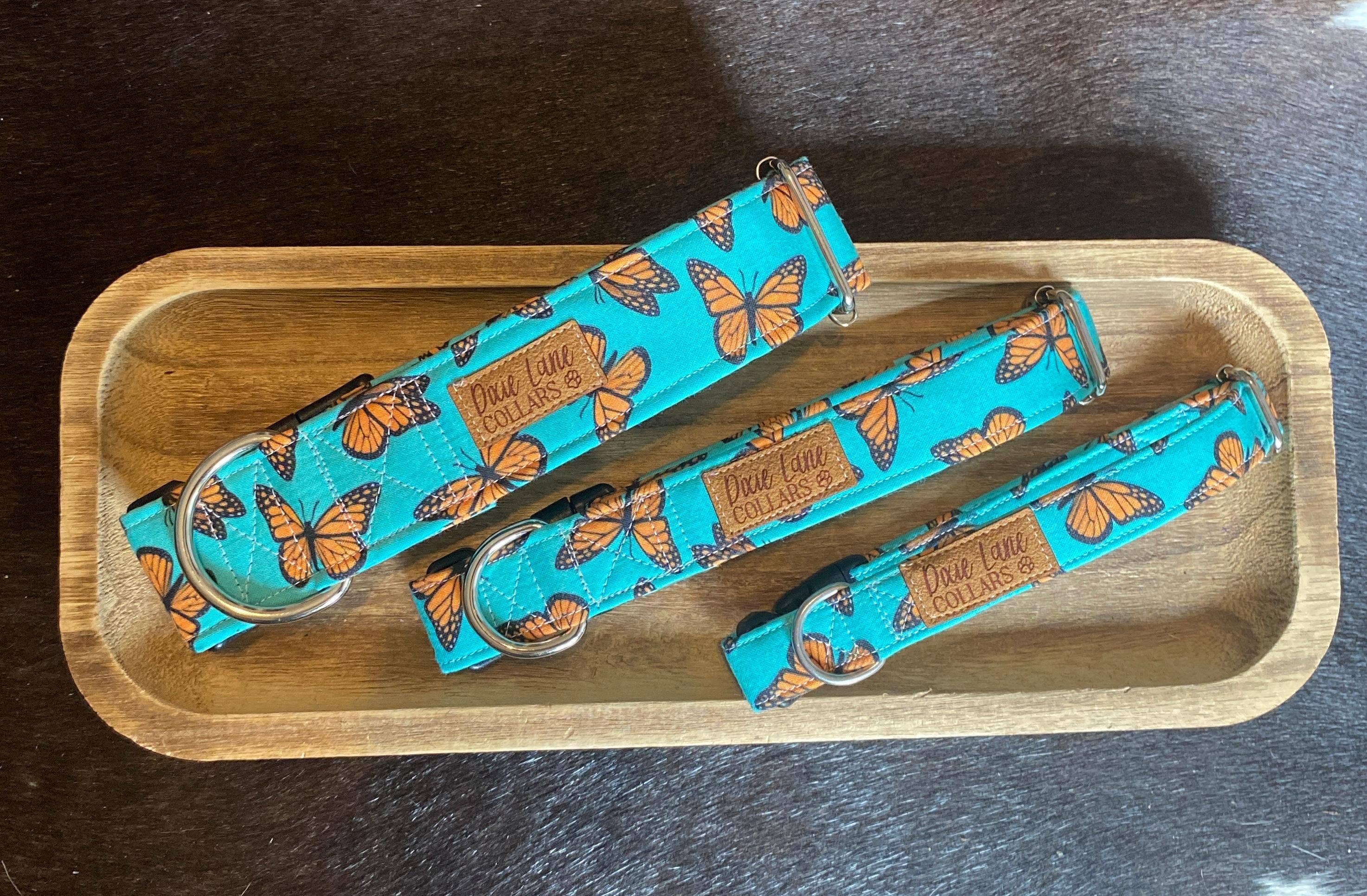 Dixie Lane Collars - Wholesale Pet Collar - Dog - Teal and Orange Butterlies Dog Collar, Dixie Lane Collars6