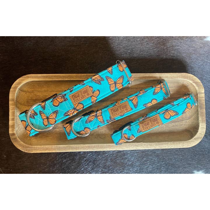 Dixie Lane Collars - Wholesale Pet Collar - Dog - Teal and Orange Butterlies Dog Collar, Dixie Lane Collars6