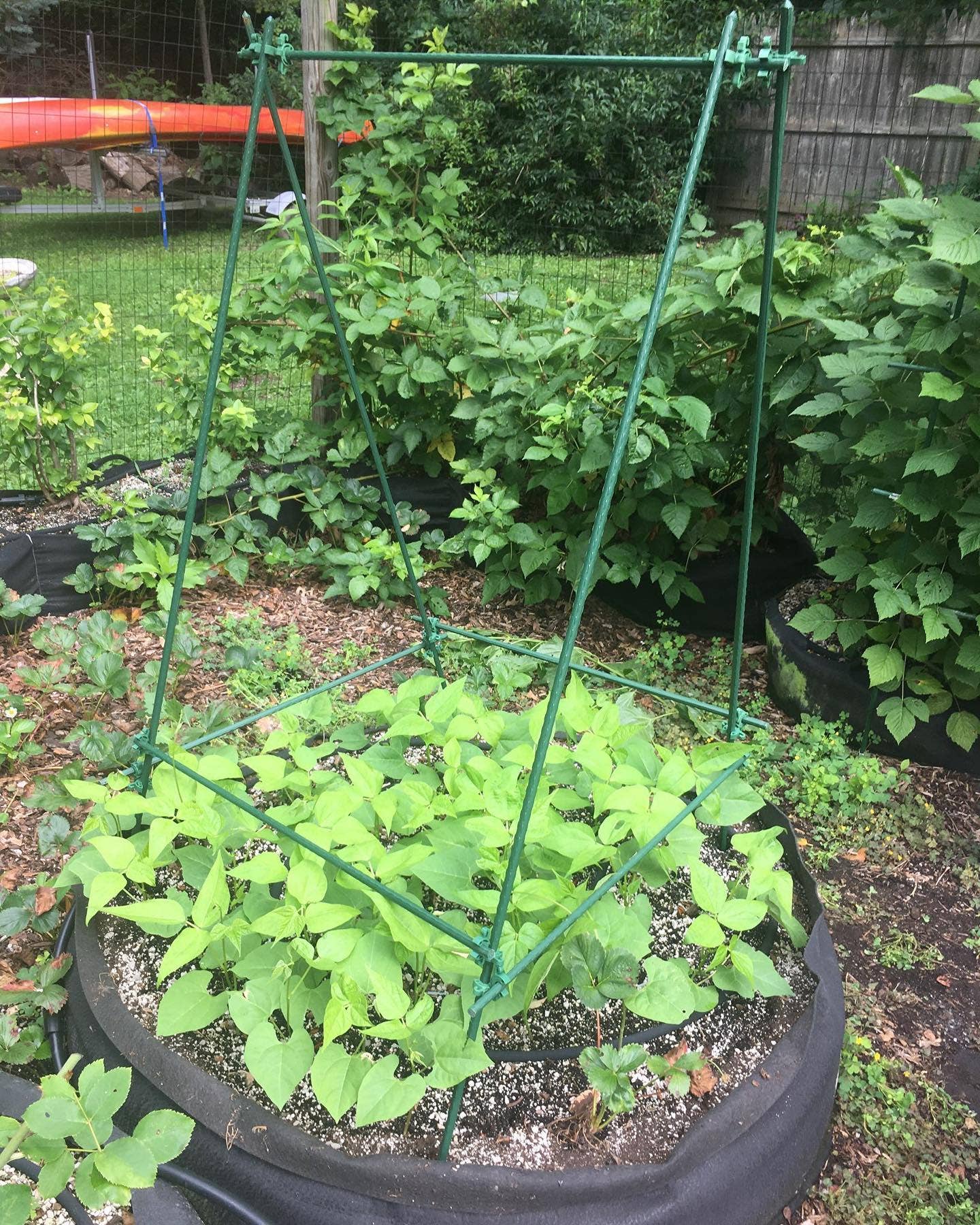 FLI Products – wholesale Garden tool – C-BITE Garden Plant Stake Clips - 50/50 Assortment for 7/16"  and 5/16" garden stakes 100pcs2