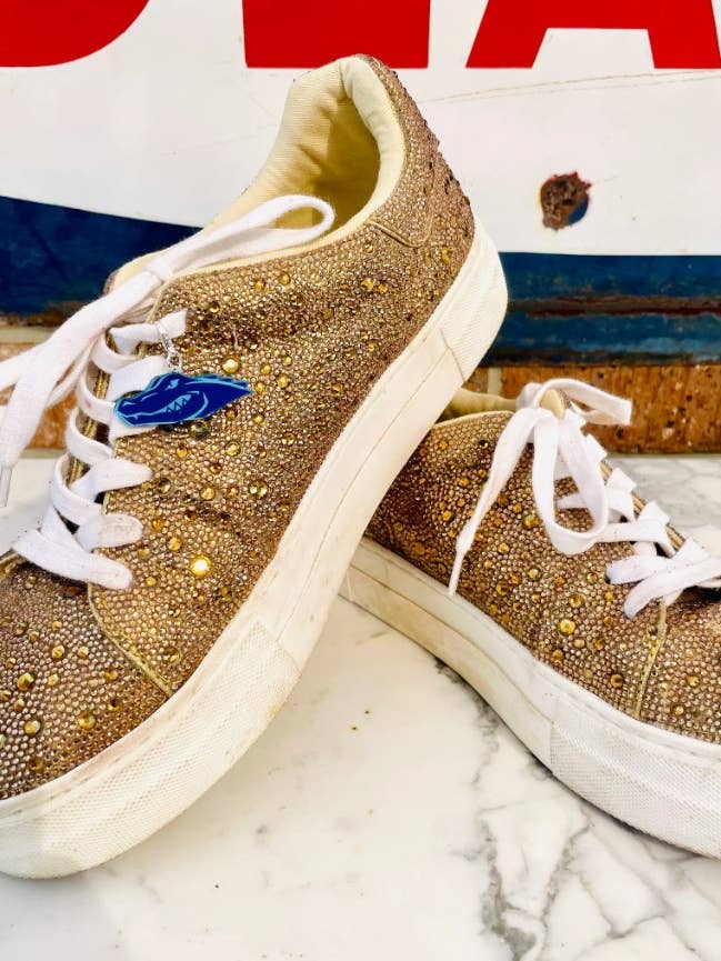 BMR Designs - Wholesale Shoe Accessories - CUSTOM Mascot Shoe Charms - School Spirit - GAME DAY1