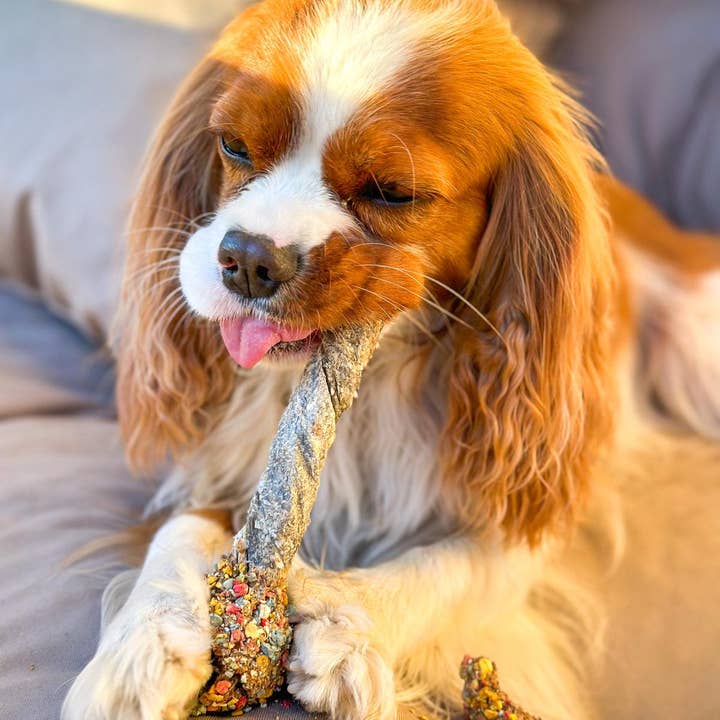 Cooka's Cookies - Wholesale Pet Treats - Dog - Lollipop - Chewy fun for dogs and some cats6