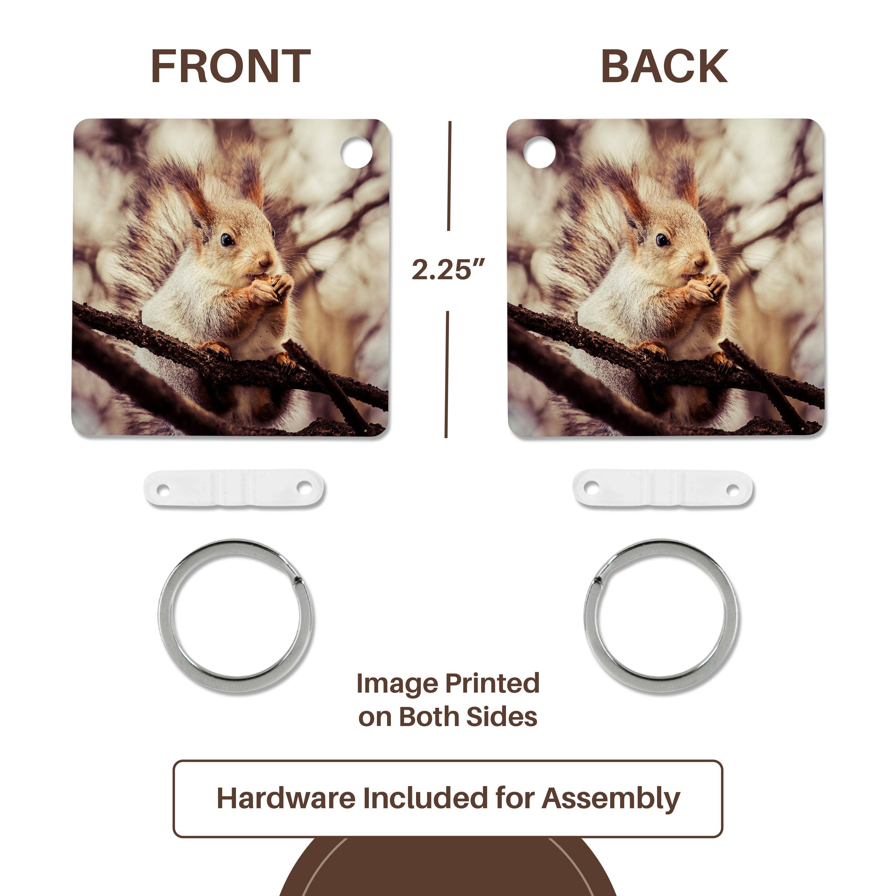 3dRose – wholesale Keychain – Unisex – 3dRose, Squirrel animal sits on a tree and eats a nut. Stylized photo, Key Chain4