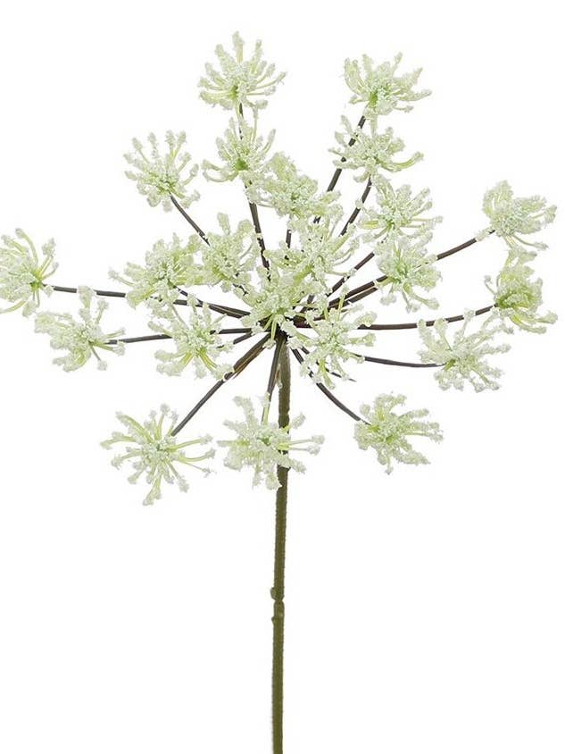 Queen Anne Cream Filler 30cm for wholesale by Aguilar Málaga